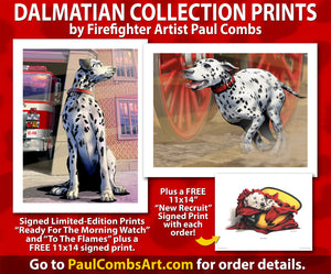 Dalmatian Collection