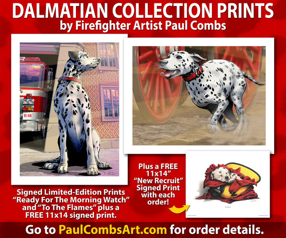 Dalmatian Collection